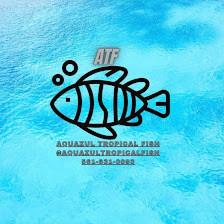 Aquazul Tropical Fish LLC