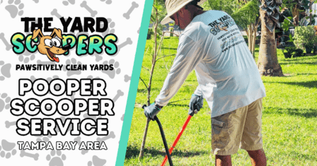 The Yard Scoopers
