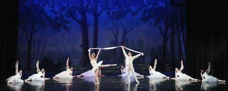 New Tampa Dance Theatre