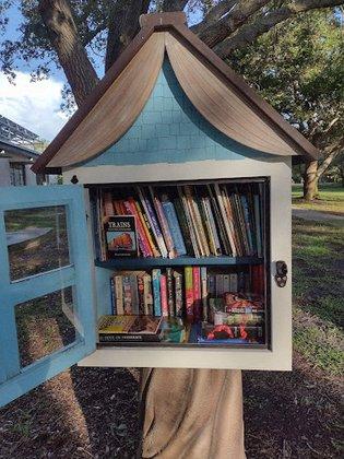 Little Library Azalea Park