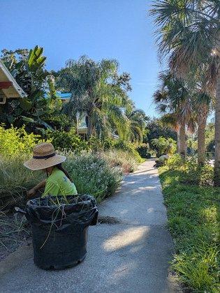 Wise Hands Native Plant Landscaping & Wholesale Nursery