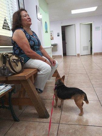 Spay & Neuter Clinic