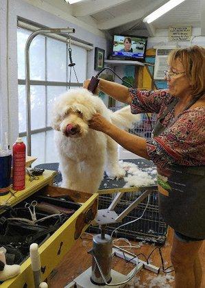 Bark Place Hotel & Pet Grooming