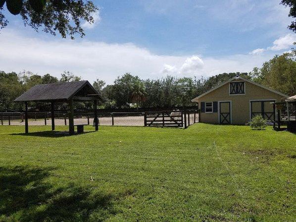 Southern Star Stables