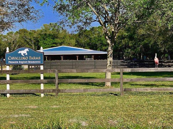 Cavallino Farms - Equine Boarding Facility