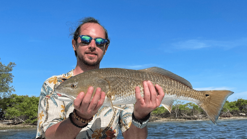 Tampa Fishing Charters- Harbour Island