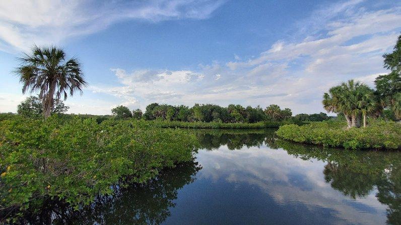 Clam Bayou Nature Preserve - Kayak Launch