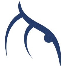 Wise Property Management