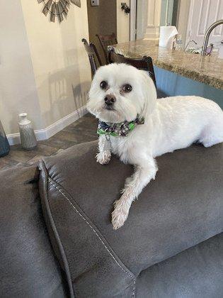 TLC PetSnip, Inc