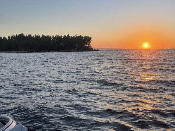 Boat Life Tampa Charters
