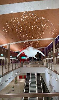 SkyConnect Passenger Terminal Station