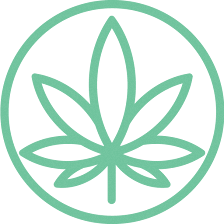 Cannabis Doc - Tampa Medical Marijuana Doctors & Marijuana Cards
