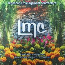 LMC landscape