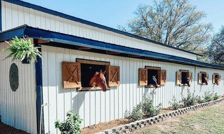 Southern Dream Farm
