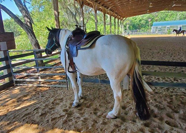 Bakas Equestrian Center