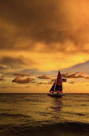 Bob Carter Photography