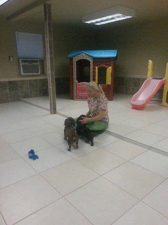 Dog Days Lodge & Daycare