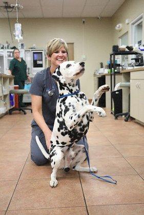 BluePearl Pet Hospital