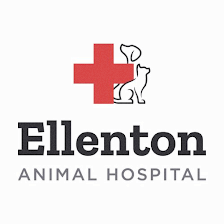 Ellenton Animal Hospital