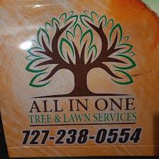 ALL IN ONE TREE AND LAWN SERVICE LLC