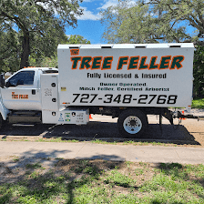 The Tree Feller of Pinellas