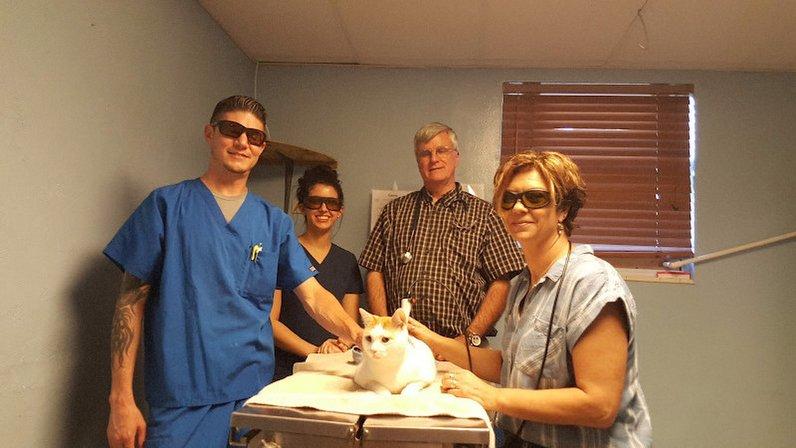 Midway Animal Hospital- Largo