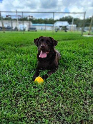 Parkway Pet Resort