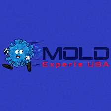 Mold Experts USA