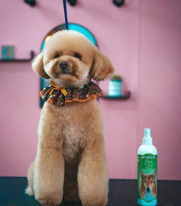 Pet Glam Spa