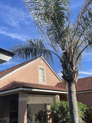Property Claim Experts - Public Adjusters