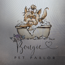 Bougie Pet Parlor