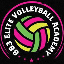 863 Elite Volleyball Academy