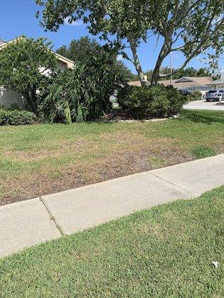 McCall Pest & Wildlife - Tampa