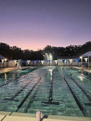 Swim Tampa Aquatics