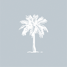 Pilates Social Tampa