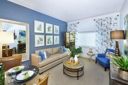 Renaissance of North Tampa
