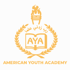 American Youth Academy