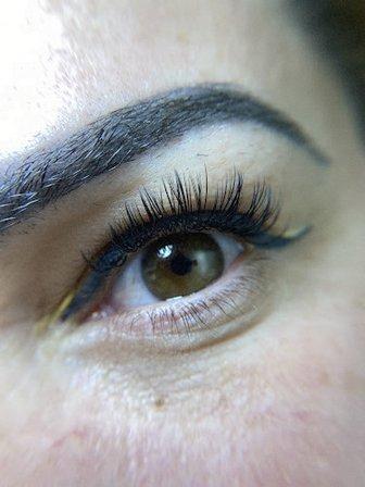 Liz Lash Bar