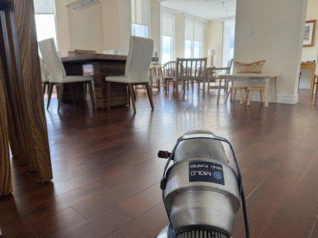 Mold Experts USA