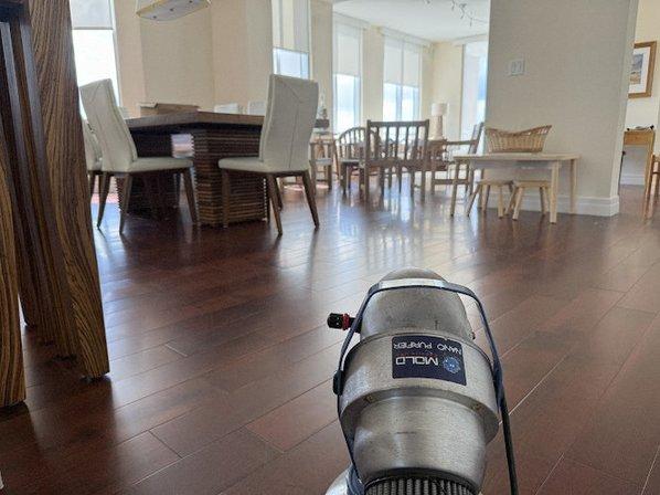 Mold Experts USA