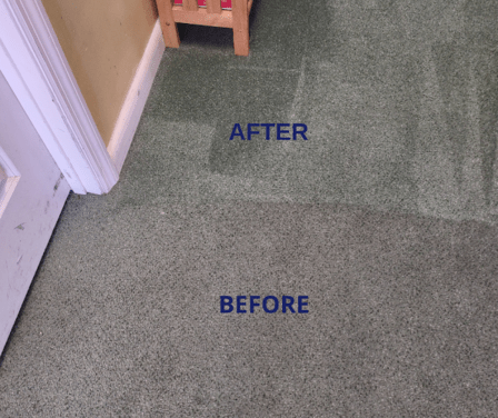 Elon Carpet Care - Non-Toxic, Eco-Friendly and Safe for your family, pets, and the earth.