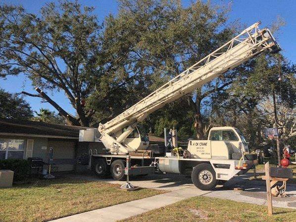The Tree Feller of Pinellas