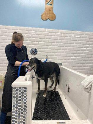 Sit Stay Splash - Self Dog Wash & Grooming