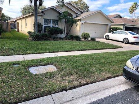 All Trusted Lawn Care & Landscape