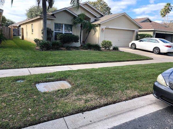 All Trusted Lawn Care & Landscape