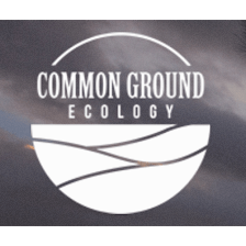 Common Ground Ecology