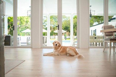 Renuity Home Improvement of Tampa