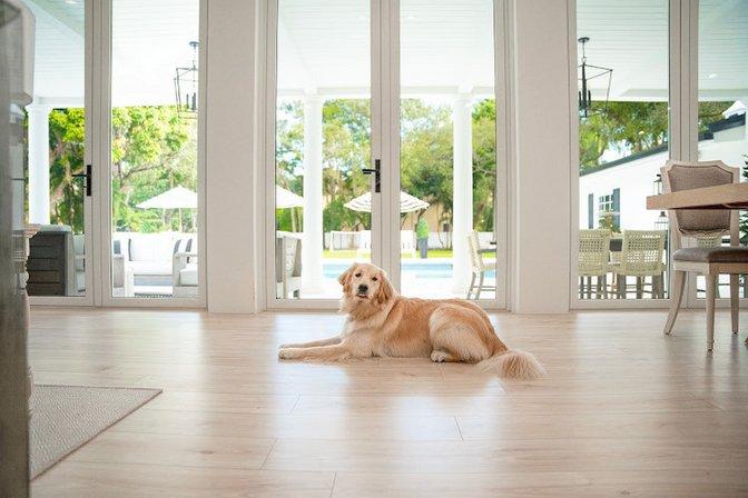 Renuity Home Improvement of Tampa