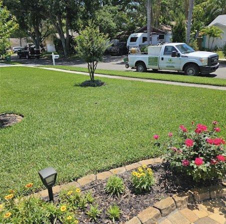 Barefoot Grass