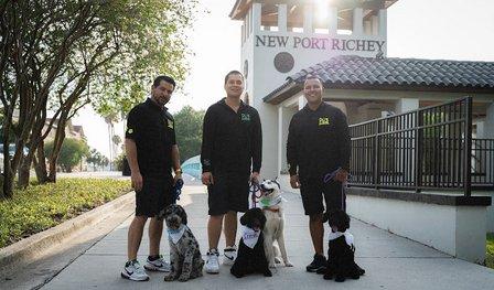 Dog Crew